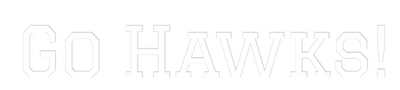 Your Custom AEG Nuwave Neon: Go Hawks! - Nuwave Neon