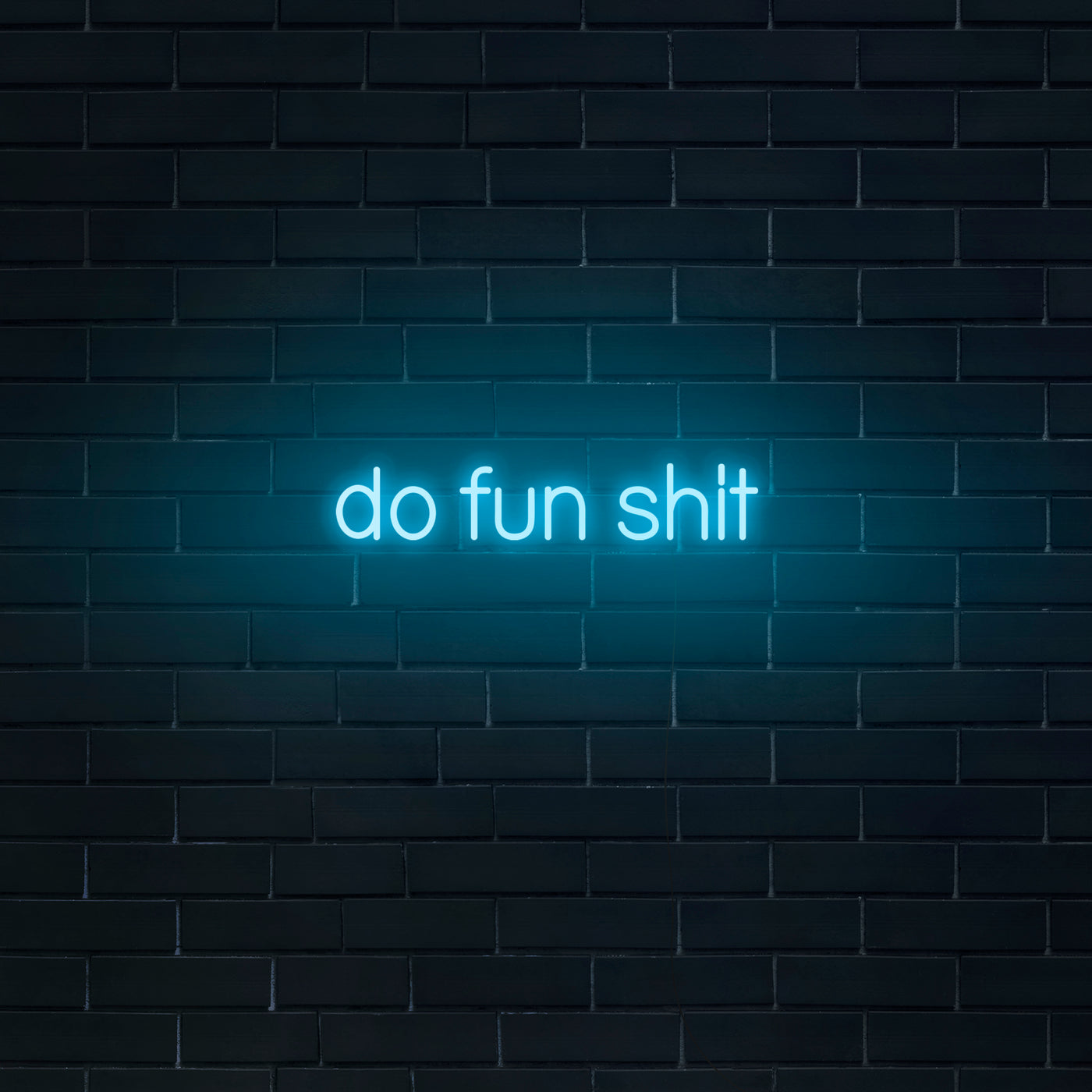 'Do Fun Shit' Neon Sign - Nuwave Neon