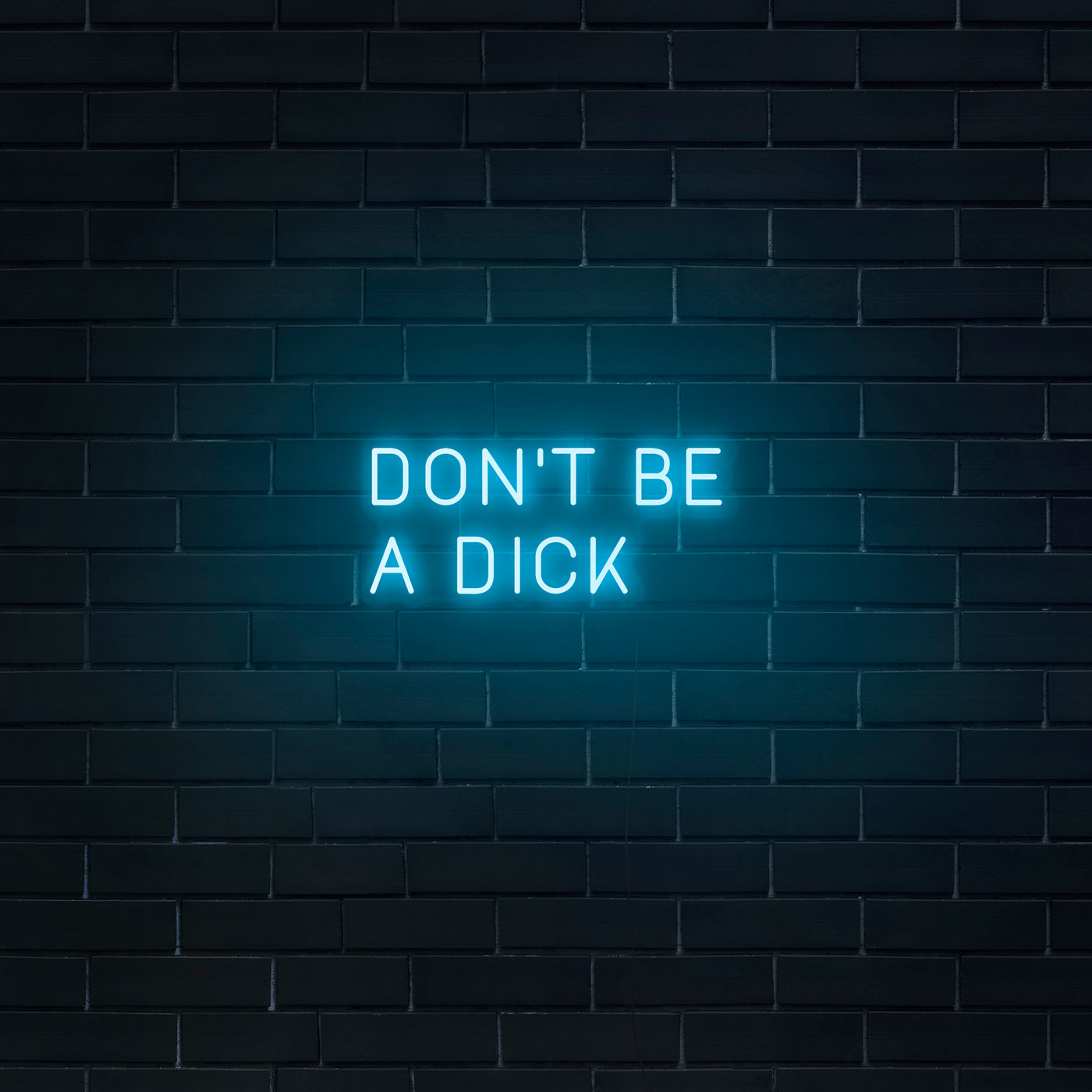 'Don't Be A Dick' Neon Sign - Nuwave Neon