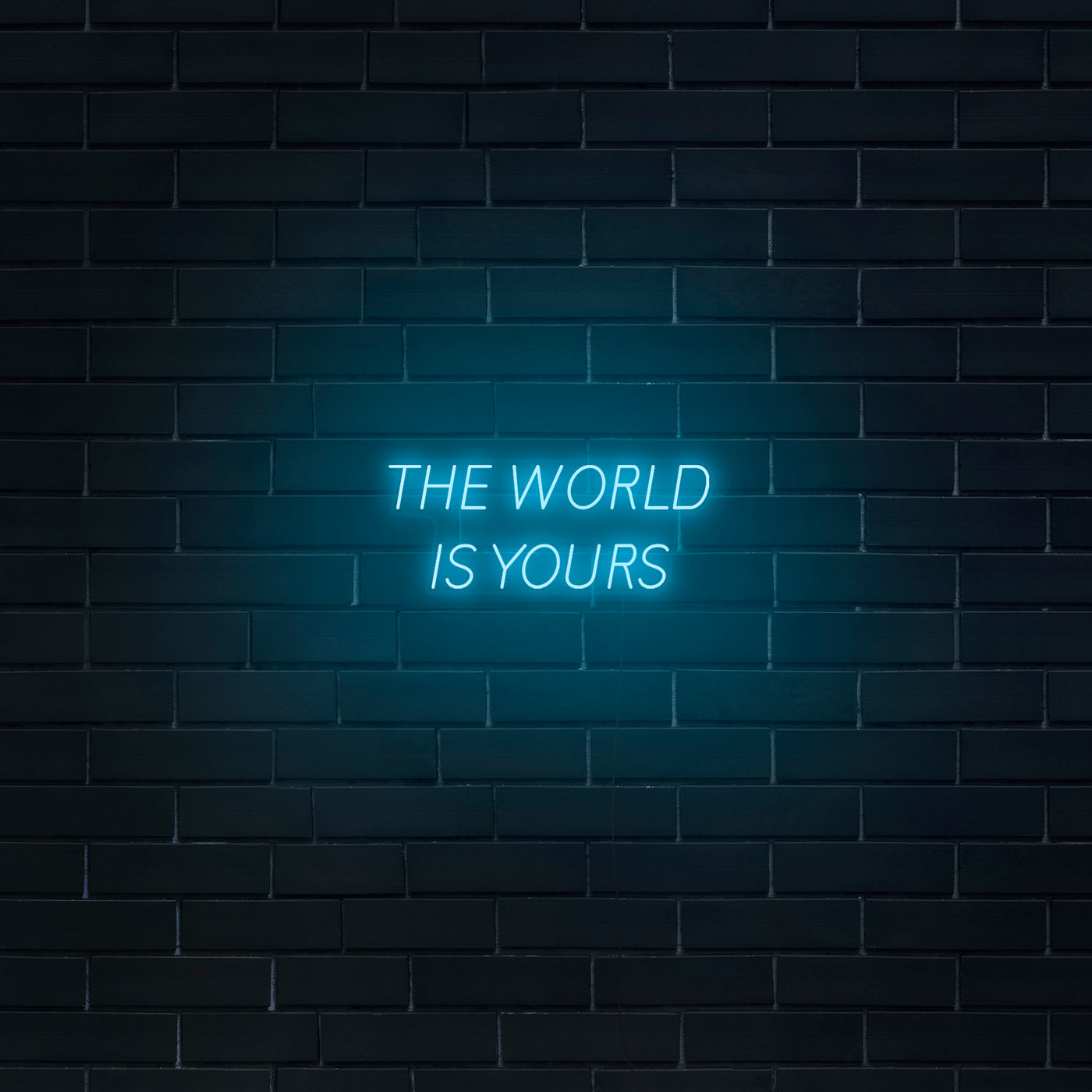 'The World Is Yours' V2 Neon Sign - Nuwave Neon